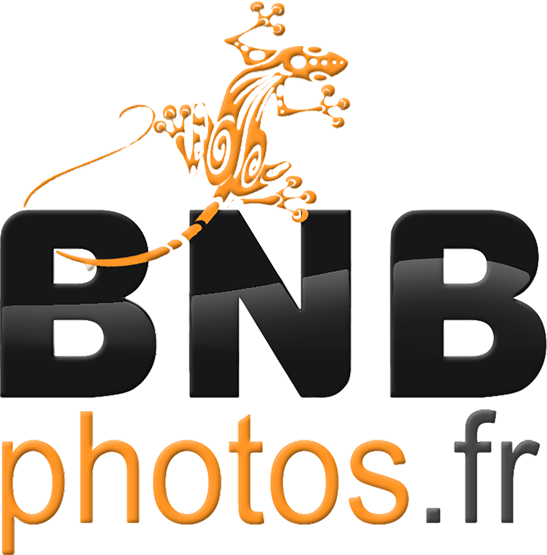 Bnb photographie